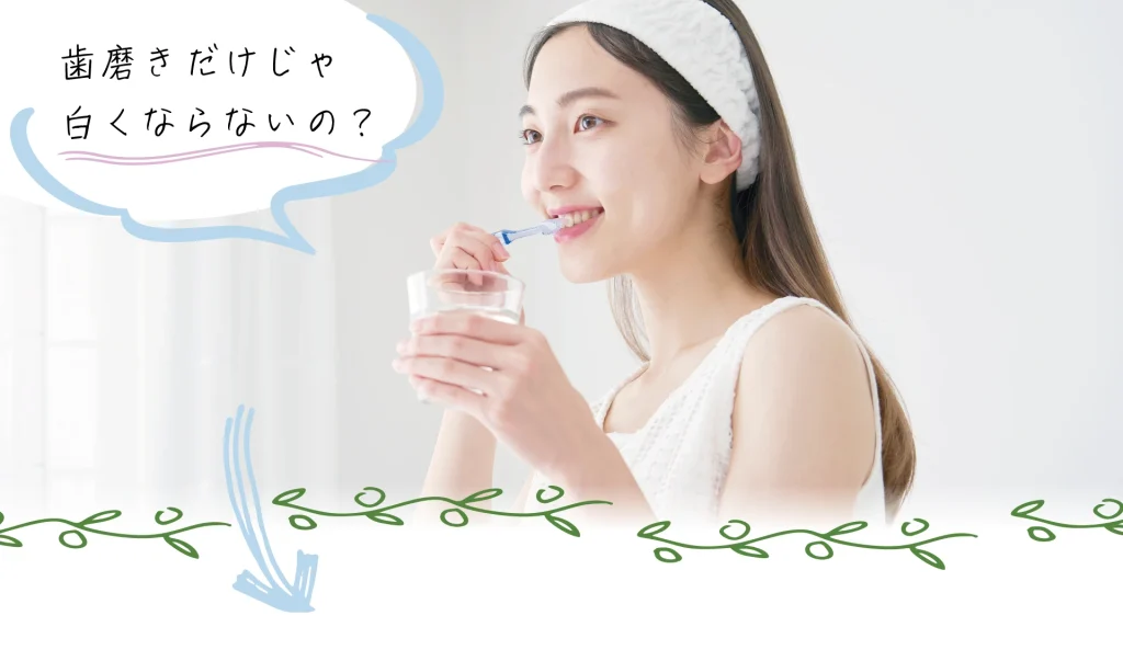 cosmetic-daytime-hamigakidake