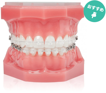 orth-seijin-bracket-clear-osusume