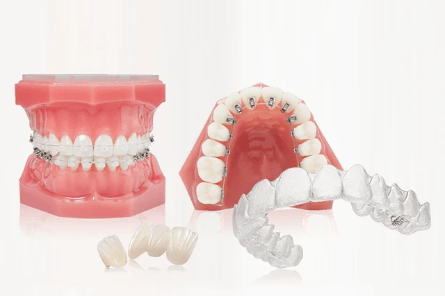 orth-soudan-counseling-2